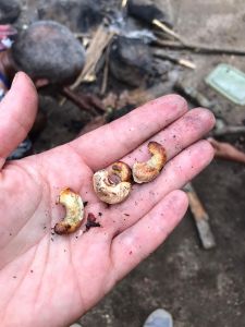 whatsapp image 2023 05 16 at.11.38