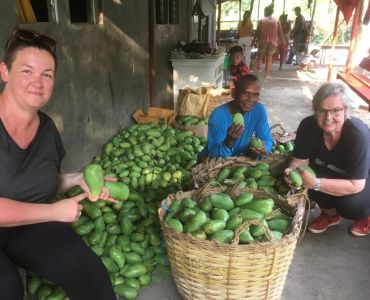 whatsapp image023 054 at 15.16.41